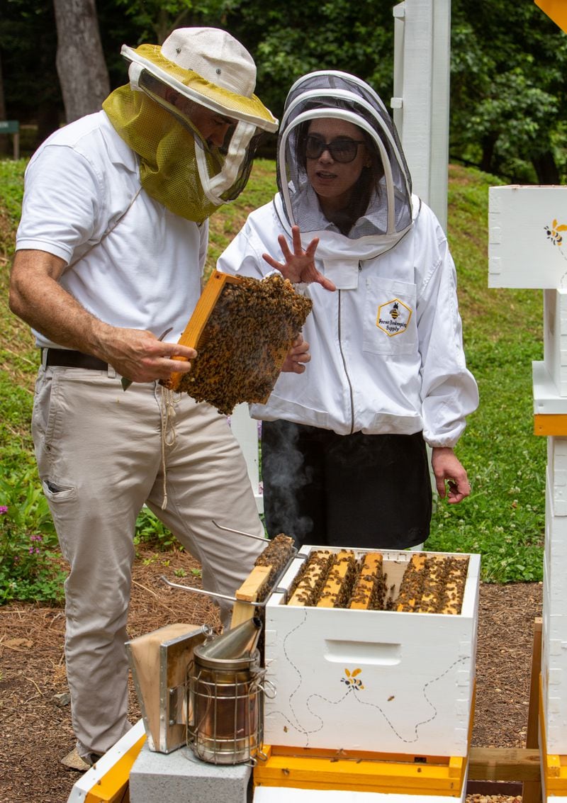 Tim Doherty shows Michelle Simard, of Livable Buckhead, some the bee hives at Mountain Way Common Park in Buckhead. He is an assistant Principal at Fulton's Riverwood High School & a veteran who found comfort in beekeeping as he transitioned back from military service. He's also created a bee hive project with Livable Buckhead. PHIL SKINNER FOR THE ATLANTA JOURNAL-CONSTITUTION.