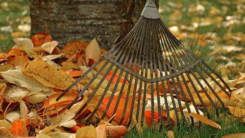 Citizens in FInland are having a field day with President Donald Trump's comments about raking leaves.