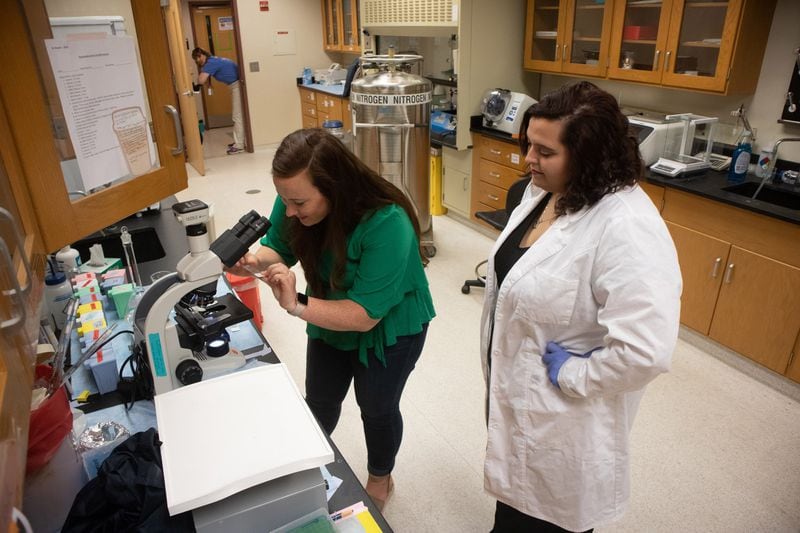 University of North Georgia assistant biology professor Shannon Kispert (left) and senior biology student Jessica Nix work in their lab on bladder cancer research. STEVE SCHAEFER / SPECIAL TO THE AJC