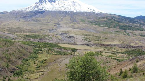 “While visiting our daughter in Seattle, we took the three-hour ride south to visit Mount St. Helens,” wrote Janet Melville of Cumming. “The volcano erupted 19 years ago and signs of regrowth are evident all around the mountainside. An unbelievable sight to see.”