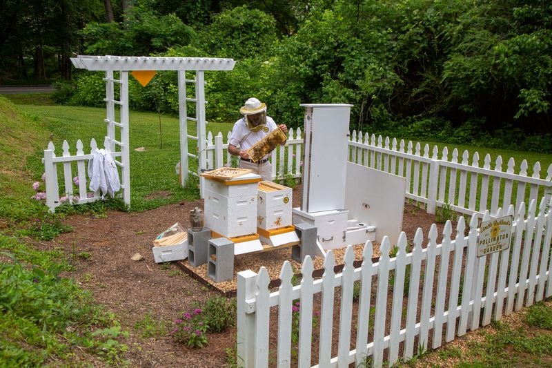 Tim Doherty is an assistant Principal at Fulton’s Riverwood High School and a veteran who found comfort in beekeeping as he transitioned back from military service.  PHIL SKINNER FOR THE ATLANTA JOURNAL-CONSTITUTION.