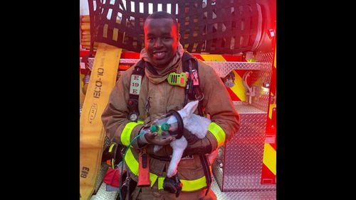 Six rabbits were rescued Tuesday from an apartment fire in Marietta, Cobb County Fire and Emergency Services said.