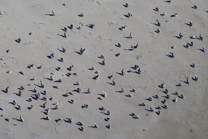 Aerials after Hurricane Matthew