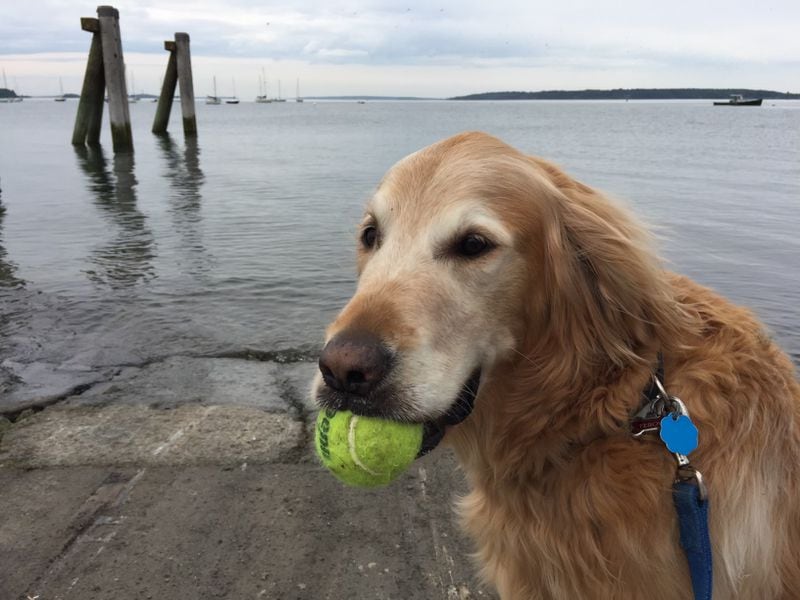 Tebow Hellman enjoying a day on the water. He called Natalie Hellman his person, who works in the Washington office of U.S. Rep. Buddy Carter. (Courtesy photo)