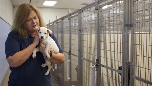 Rebecca Guinn, 58, holds Casper, a pit bull puppy, at DeKalb County Animal Services in Chamblee. Guinn is founder and CEO of LifeLine Animal Project. LifeLine is raising money to build a new community animal center.