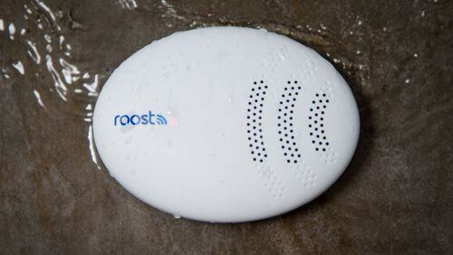 The Roost Detector is one of the best devices of its kind on the market. It features the design and features of pricier devices — with a reasonable $50 price tag. (Chris Monroe/CNET/TNS)