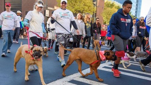 Walk for the Animal 2015