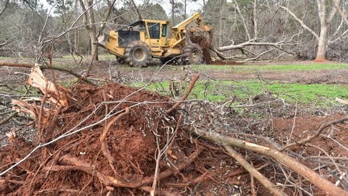 A worker cleans up pecan trees damaged by Hurricane Michael at Pippin Farm in Albany on Feb. 5, 2019. HYOSUB SHIN / HSHIN@AJC.COM
