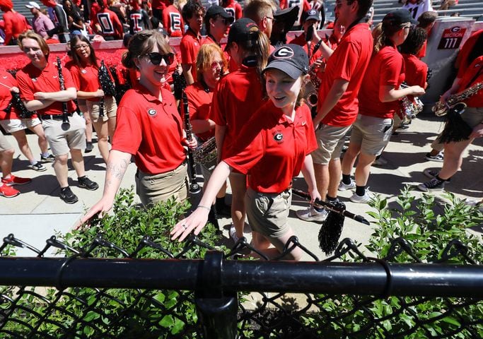 Members of the Redcoat Marching Band are all smiles as they touch the new hedges around the field at Sanford Stadium for the first time while arriving for the G-Day game on Saturday, April 13, 2024.  Curtis Compton for the Atlanta Journal Constitution