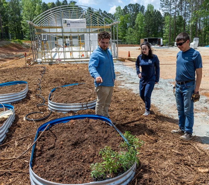 Joe Twiner (from left) instructs his sister Quinn and James Montesi where to plant tomatoes at Peachtree Farm. PHIL SKINNER FOR THE ATLANTA JOURNAL-CONSTITUTION.