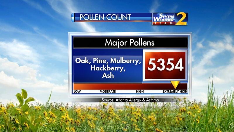 Today’s pollen count — 5,354 particles per cubic meter of air — is the highest since April 9, 2015, according to Atlanta Allergy and Asthma. (Credit: Channel 2 Action News)