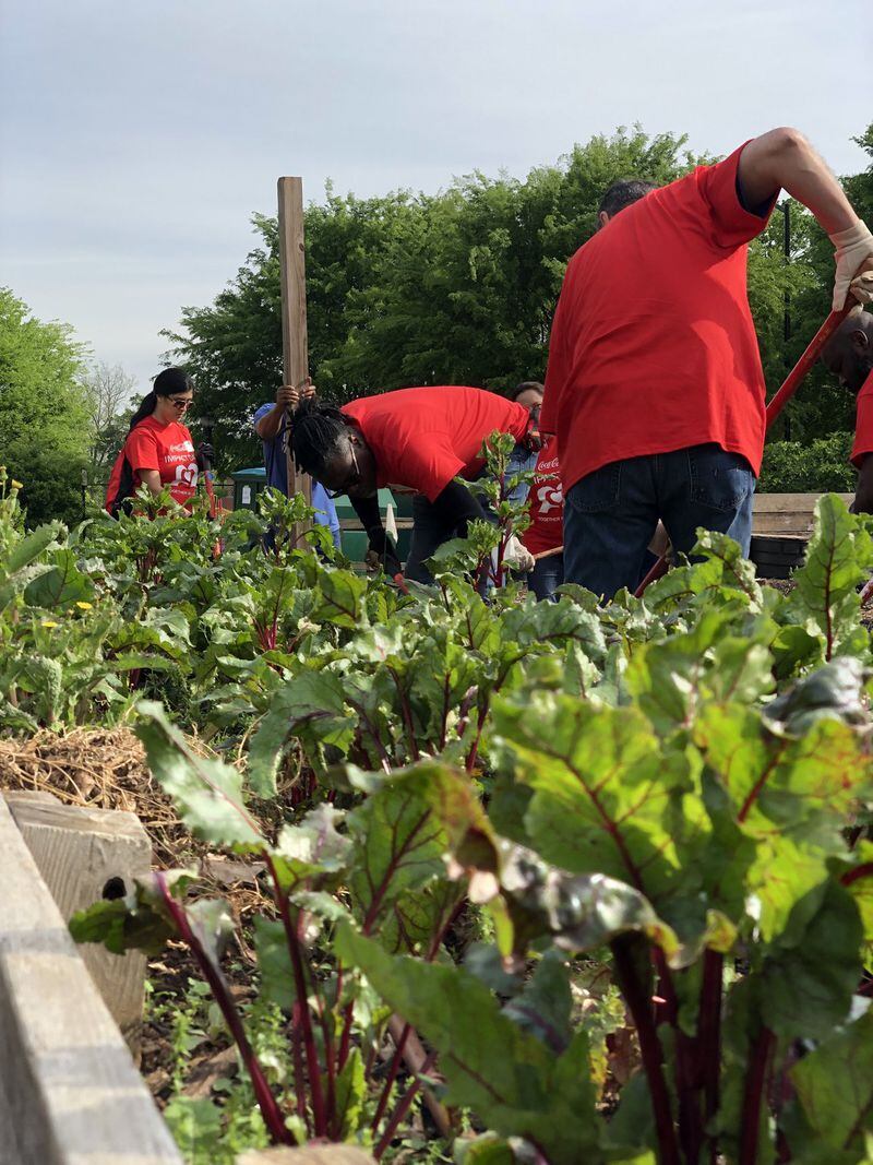 For its 2019 Impact Day, Coca-Cola employees worked recently at Truly Living Well, an urban farm that provides natural and organic produce and farmer training to local residents. CONTRIBUTED BY TIM ADKINS