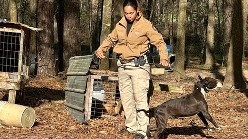 In February, 67 dogs were removed from a property in Mitchell County, where investigators believe dog-fighting was taking place.
