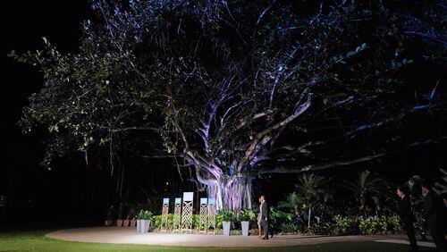 Saving a large tree in Florida has been the aim of one woman, who "married" it in a ceremony on Saturday.