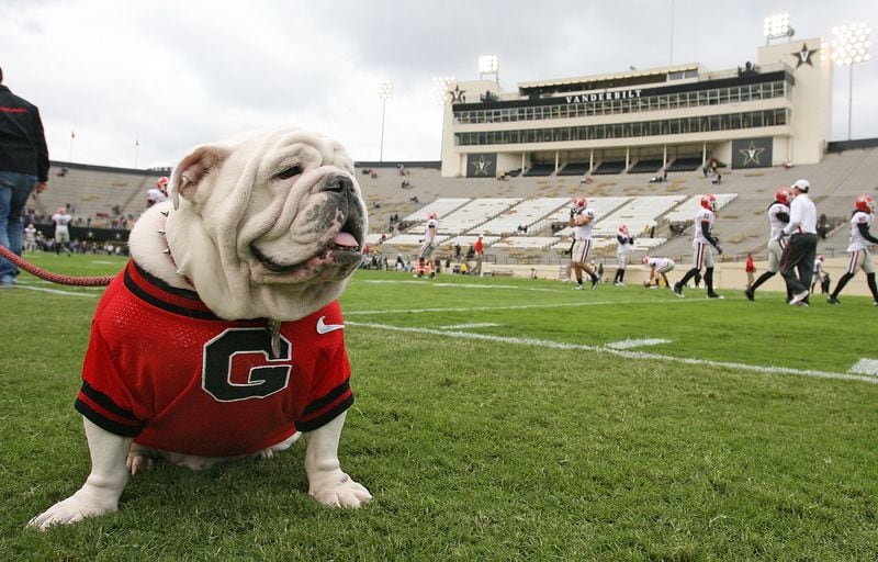 Georgia Bulldogs mascot, Uga, sits on the sideline during warm ups prior to a game against the Vanderbilt Commodores at Vanderbilt Stadium in Nashville, Tennessee on Saturday, October 17, 2009. (Photo by Frederick Breedon) Early action applicants to the University of Georgia found out today whether they were admitted.