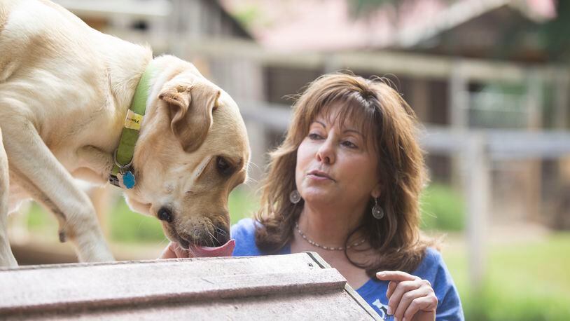 Susie Aga, founder of Atlanta Dog Trainer, a "premier dog training and behavior modification center in the Southeast," (Atlantadogtrainer.com) communicates with a variety of different dogs using a training ramp within her facility.
