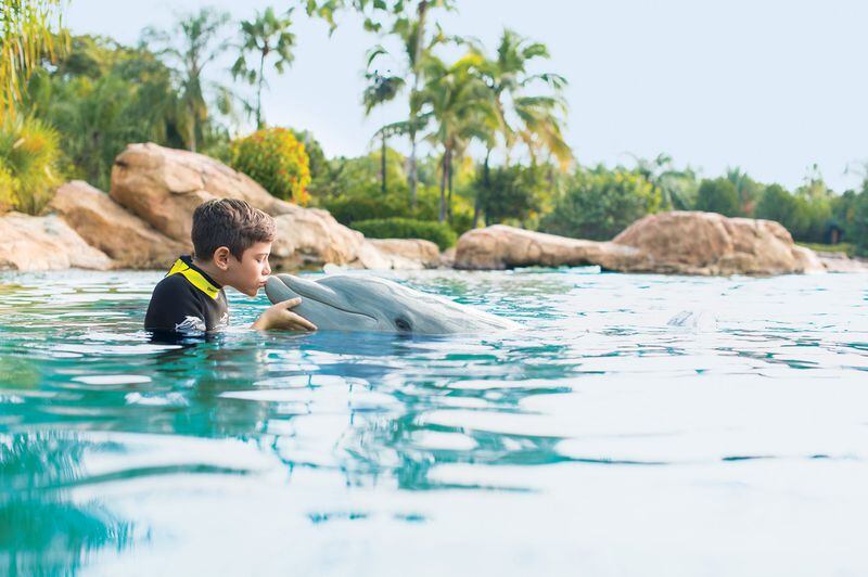 Discovery Cove in Orlando, where visitors can interact with dolphins and other marine animals, has been designated a Certified Autism Center and offers specialized services to guests with autism and other special needs. Contributed by Sea World Parks & Resorts