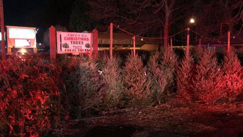 The fire spread to a few Christmas trees, but most are still usable for the holidays, according to a DeKalb County fire official.