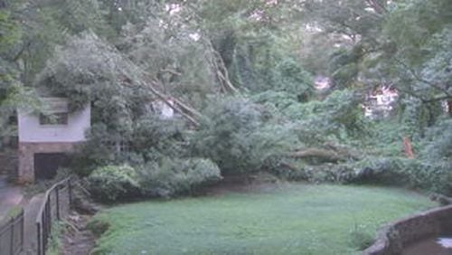 An 87-year-old woman was home when a tree fell on her house. (Credit: Channel 2 Action News)