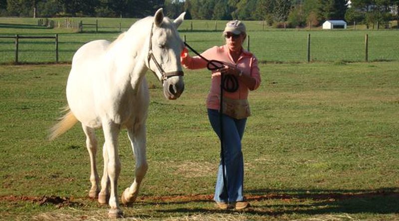 Sandy Hackler and her horse, Mae. Hackler has made provisions to take care of her three horses and her dogs. FAMILY PHOTO