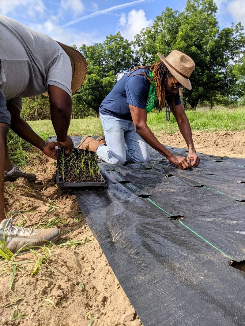 Black farmers across southwest Georgia are sharing their farms on the Southwest Georgia Agri-Tourism Trail, a brand new, first-of-its-kind collection of extraordinary stays and experiences on Airbnb.