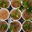 Cups of Mint Julep are prepared for a vender before the 149th running of the Kentucky Derby horse race at Churchill Downs Saturday, May 6, 2023, in Louisville, Ky. (AP Photo/Brynn Anderson)