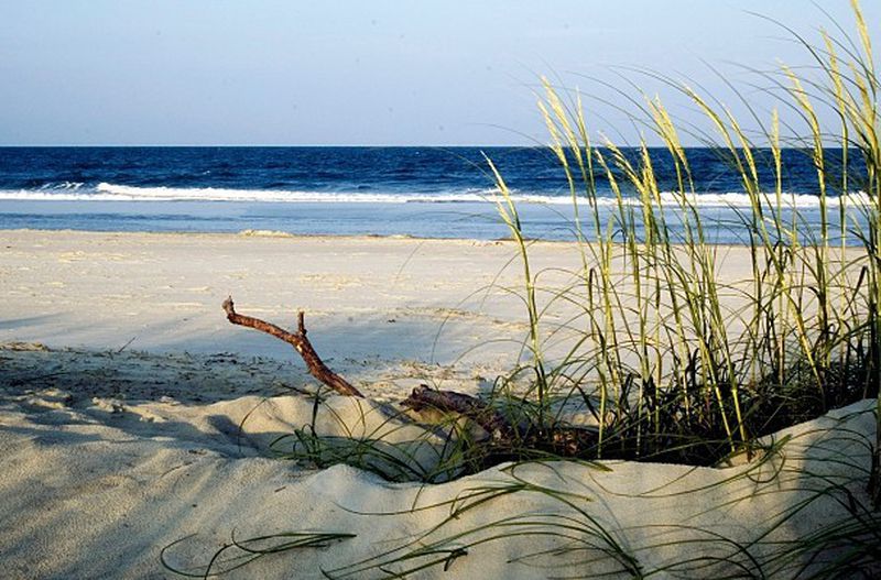 Camp an hour away and save hundreds on hitting the beach at Tybee Island.