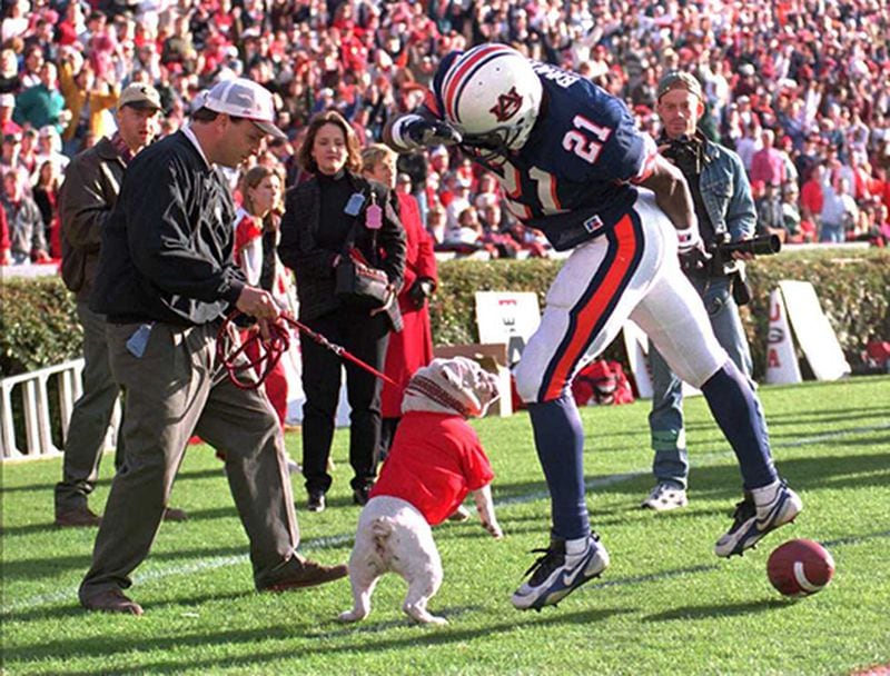 Auburn's Robert Baker (21) taunts Georgia's mascot UGA after scoring a touchdown in the first quarter Saturday, Nov. 16, 1996 at Jordan-Hare Stadium in Auburn, Ala.
