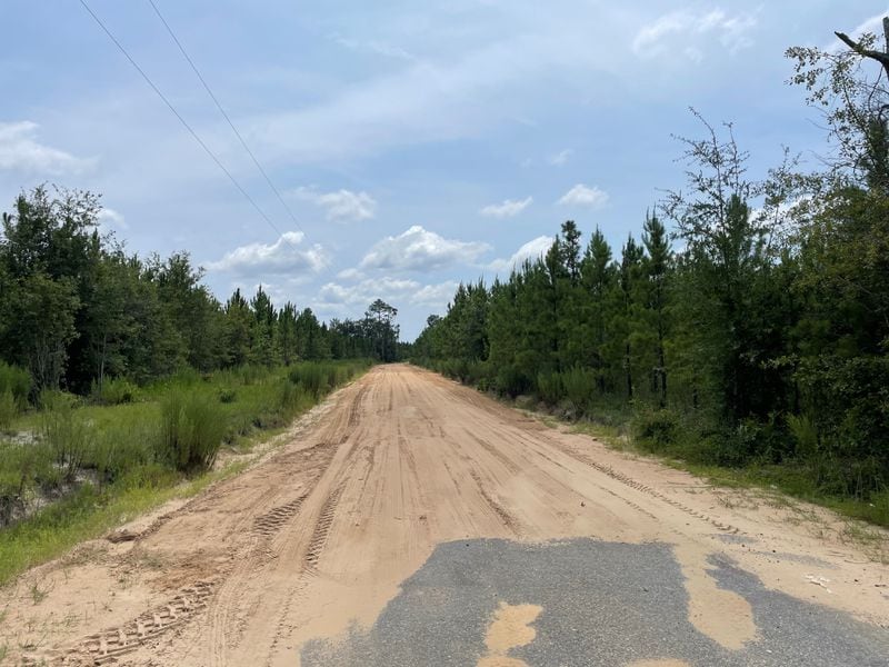 The dirt road leading to the Bryan County mega-site recently purchased by the state of Georgia to attract major economic development deals.