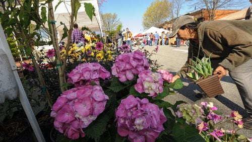 Marietta Square Farmers Market (shown last April) is open Saturdays all year and Sundays (noon-3 p.m.) in spring, summer and fall. CONTRIBUTED BY WWW.BECKYSTEIN.COM