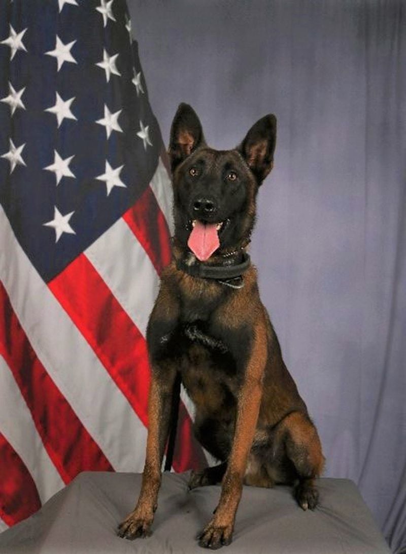 K-9 Kai is a 2-year-old Belgian Malinois who has worked with Gwinnett County police for less than a year.