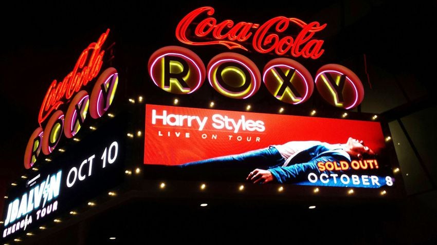 Harry Styles at the Roxy