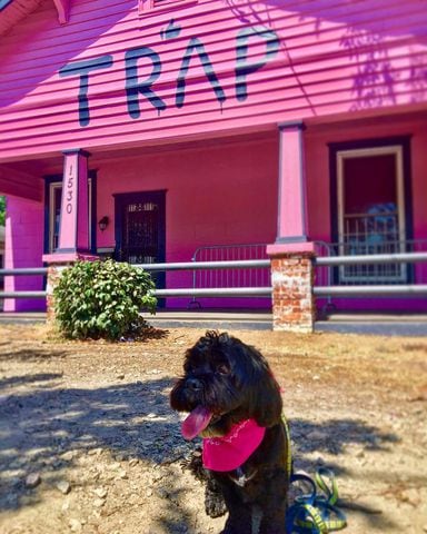Photos: Atlanta pink trap house