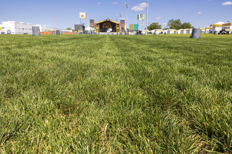 Untrampled green grass in front of the Congo Square Stage, Tuesday, April 23, 2024, just hours before the start of the New Orleans Jazz & Heritage Festival. (Chris Granger/The Times-Picayune/The New Orleans Advocate via AP)