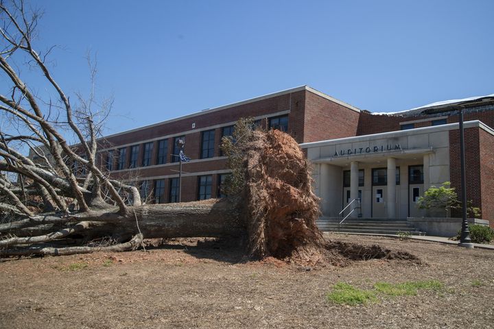 A large tree lies on its side after being ripped from the roots outside of Newnan High School. (Alyssa Pointer / Alyssa.Pointer@ajc.com)
