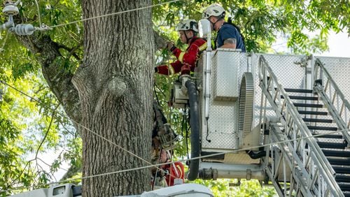 A tree removal worker was electrocuted Monday in Acworth, according to investigators. Crews later removed the man's body from a tree.
