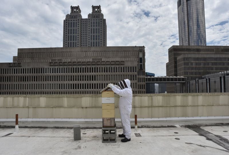 Executive chef Thomas McKeown checks one of the beehives in the rooftop bee garden at Hyatt Regency Atlanta. HYOSUB SHIN / HYOSUB.SHIN@AJC.COM