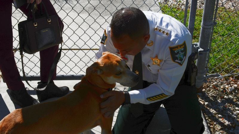 Sheriff  Carmine Marceno greets Chance, the latest deputy for this sheriff's office.