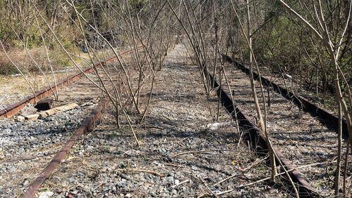AJC Photojournalist Ben Gray documents the Atlanta Beltline while running the 22-mile loop with friends.