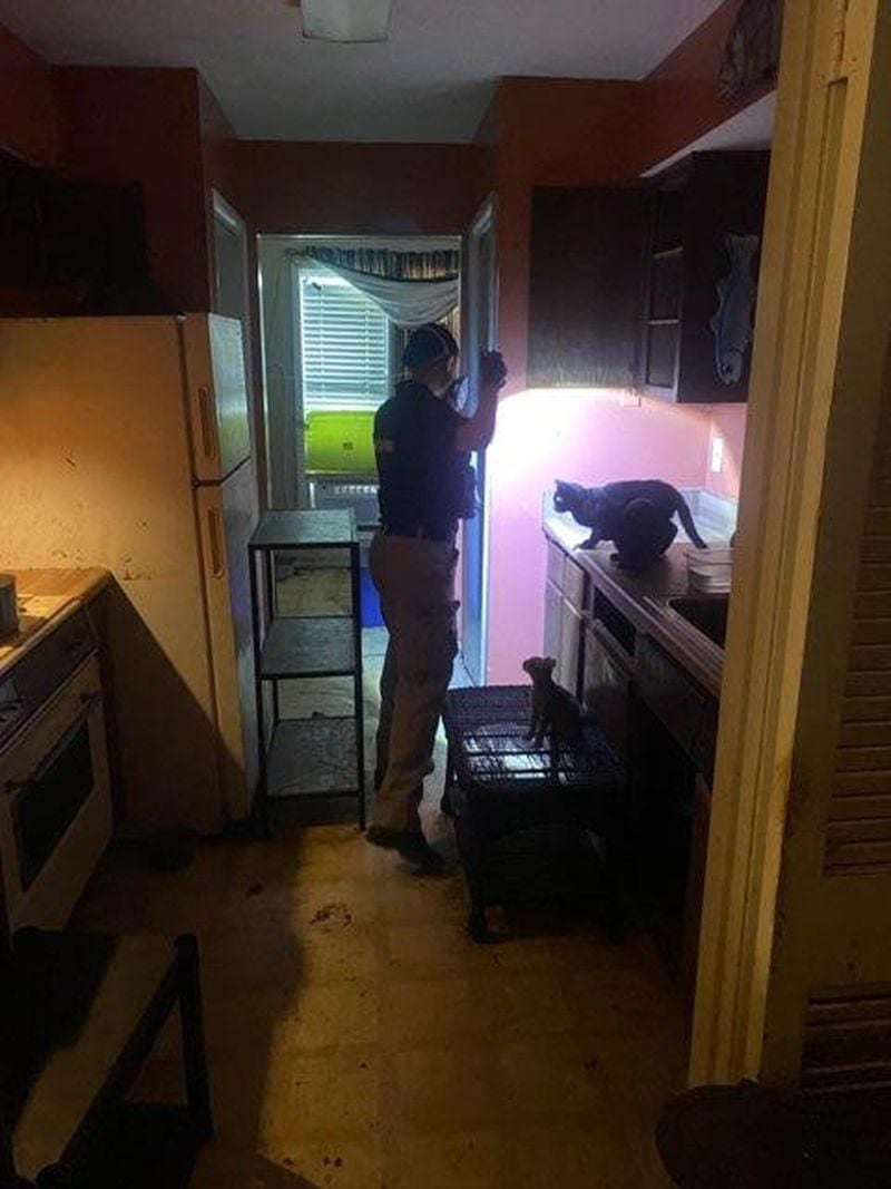 A Fulton County Animal Services officer inside the condo where nearly 60 cats were found living in unsanitary conditions.