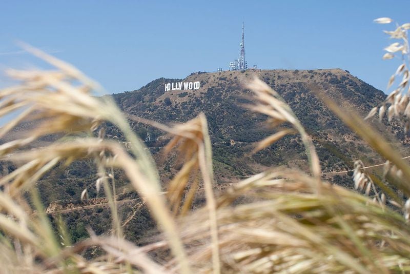 LOS ANGELES - MARCH 29:  The Hollywood Sign is seen high above drying vegetation in Griffith Park on March 29, 2015 in Los Angeles, California. A record-breaking series of unusual heat waves this month makes this the first March to have had six days with highs in the 90s or above in Los Angeles since at least 1877 when record-keeping began. Temperatures have averaged 10 degrees above normal almost every day and very little rain has fallen as a fourth year of extreme drought continues to worsen in California. (Photo by David McNew/Getty Images)