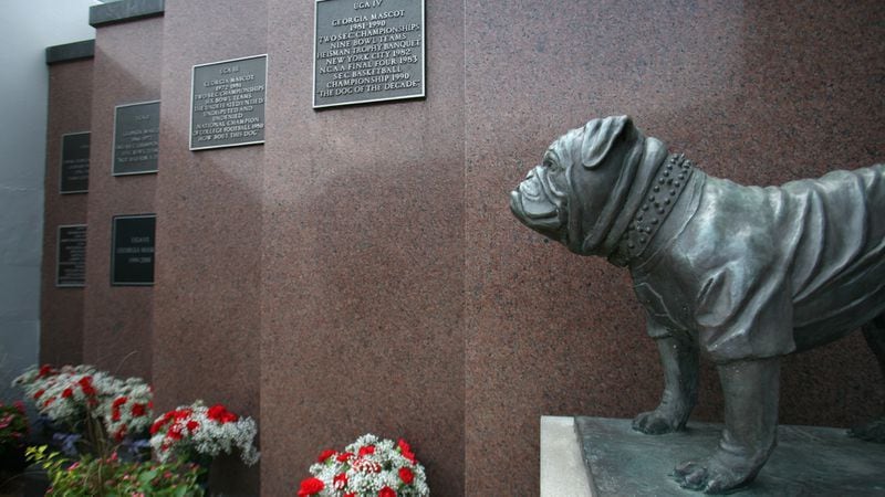 A bronzed Uga stands at the memorial for Georgia's mascots at Sanford Stadium.