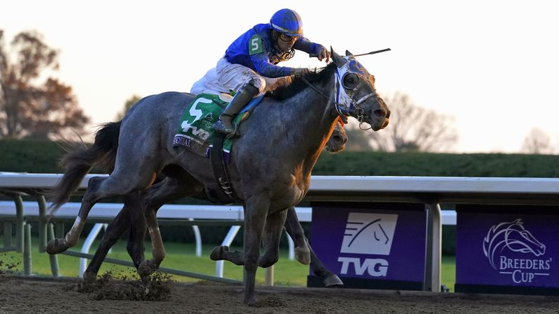 Jockey Luis Saez rides Essential Quality to win the Breeders' Cup Juvenile horse race at Keeneland Race Course in Lexington, Ky., in this Friday, Nov. 6, 2020.  (Michael Conroy/AP)