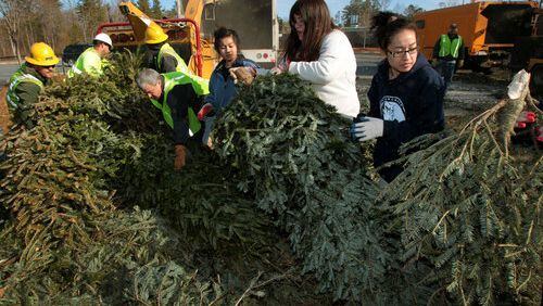 Alpharetta will accept Christmas trees for recycling at a "Bring One for the Chipper" event Saturday, Jan. 9.