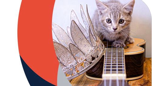 Gwinnett Animal Shelter pets are rocking the house during “Shelter Pets Rock” 11 a.m. to 4 p.m. Saturday, June 12 at the Bill Atkinson Animal Welfare Center, 884 Winder Highway in Lawrenceville. (Courtesy Gwinnett Animal Welfare and Enforcement)