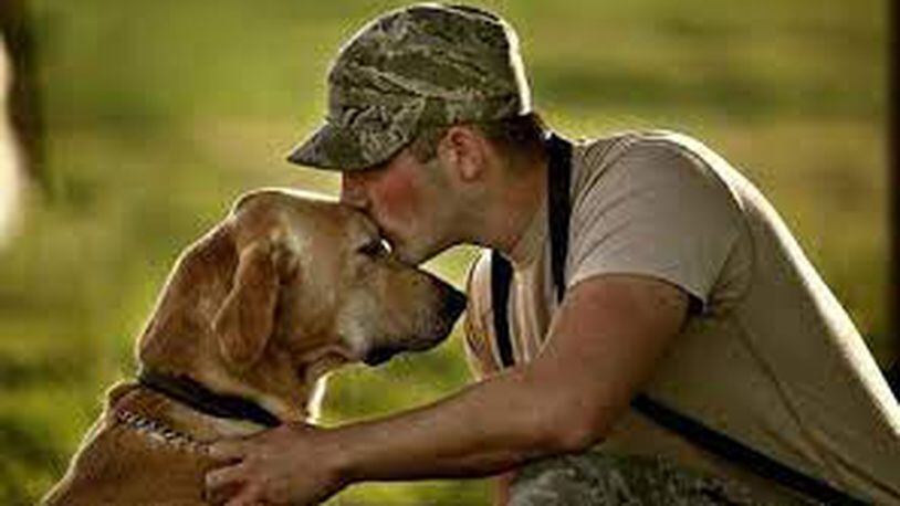 For free, U.S. veterans can receive a dog or cat from Cobb County Animal Services. (Courtesy of Cobb County)
