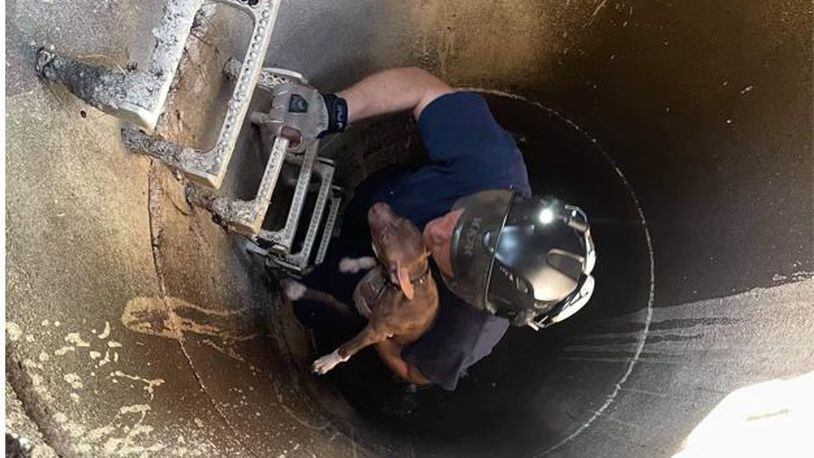 Kennesaw firefighter Dominic Simone rescued an unidentified puppy after it fell down a 15-foot storm drain last week. (Photo provided/Cobb County Fire & Emergency Services)