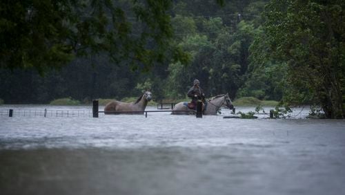 A man leads two horses through a neighborhood after the area became flooded in Houston, Aug. 29, 2017. As one of the most destructive storms in the nations history pummeled southeast Texas for a fourth day, forecasts on Tuesday called for still more rain, making clear that catastrophic flooding that had turned neighborhoods into lakes was just the start of a disaster that would take years to overcome. (Andrew Burton/The New York Times)