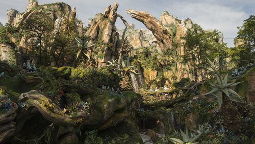 Pandora - The World of Avatar at Disney’s Animal Kingdom includes the Valley of Mo’ara, which incorporates man-made and natural vegetation. David Roark/Walt Disney World