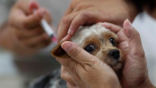 The Society of Humane Friends of Georgia is offering low-cost pet vaccinations on April 30.